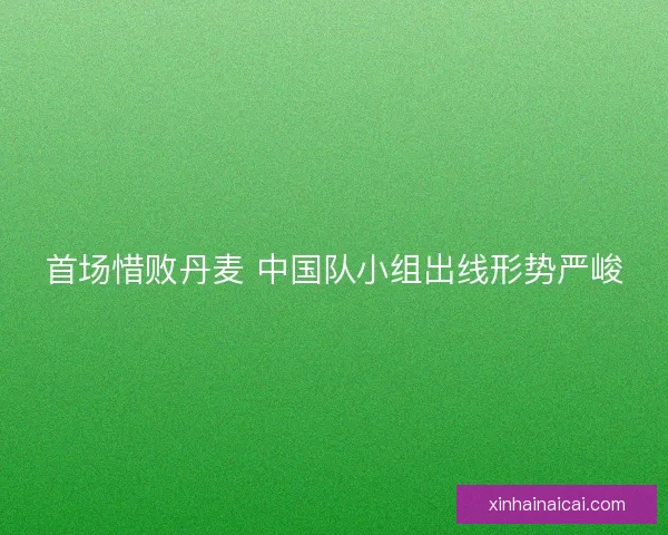 首场惜败丹麦 中国队小组出线形势严峻